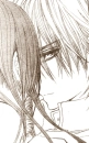 Vampire Knight 