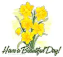 Have a nice day!
