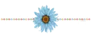 Blue Flower divider summer