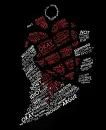 American Idiot