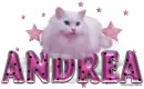 Andrea sweet cat