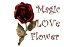 magic flower