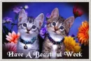 have a great week