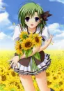 Kasashi 