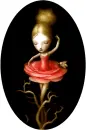 Flower Ballerina