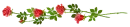 rose divider