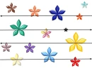 COLORS FLOWERS