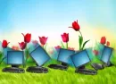 desktops in garden