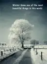 snow 