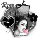 Rose