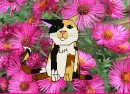 Flowerpath