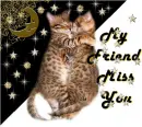 miss you my friend