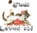 Cute Kitty - Judi Loves it
