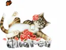 Andrea Kitty