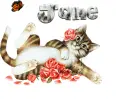 Jane Kitty