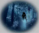 Mystic Forest