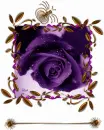 purple