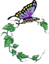 butterfly