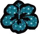 blue flower