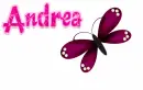Pretty Butterfly - Andrea