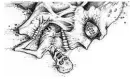 skull art