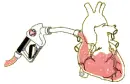 gasoline heart