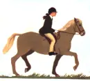 Horse riding