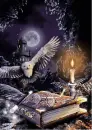 The Wizard's Study