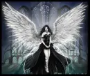 Fallen