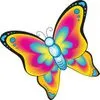 Colorful Butterfly