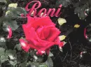 Roni