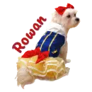 Rowan