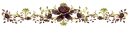 divider