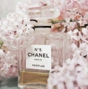 Chanel no 5