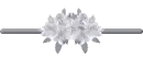 divider