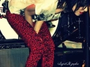 Red Leopard
