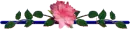 divider