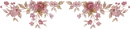 divider