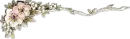 divider
