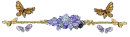 divider