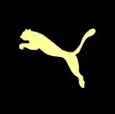 Puma Logo