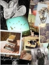 vintage 3