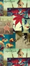 Vintage 4