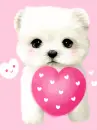 cute dog