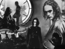 The crow!