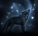Dark Wolf