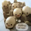 Eggs