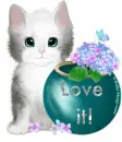 Kitten -  love it
