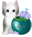 Cute Kitten - Judi