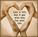love life